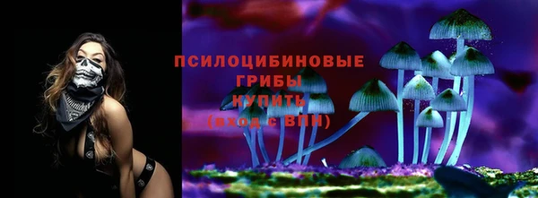 гидра Алзамай