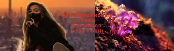 кокс Алексин
