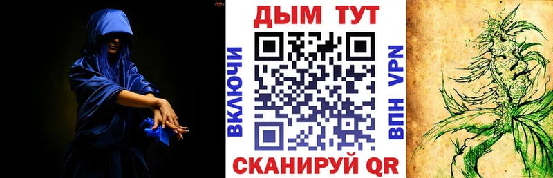 Шишки марихуана гибрид  Грайворон 